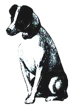 Sit, boy! Show your dog how much you care by taking good care of him.